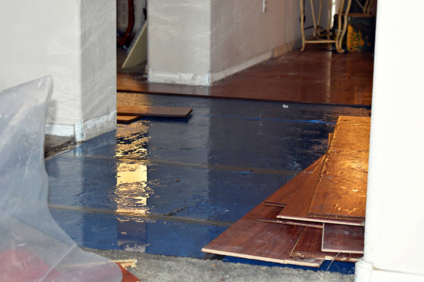 Professional Water Damage Restoration technician working in Northfield, NJ